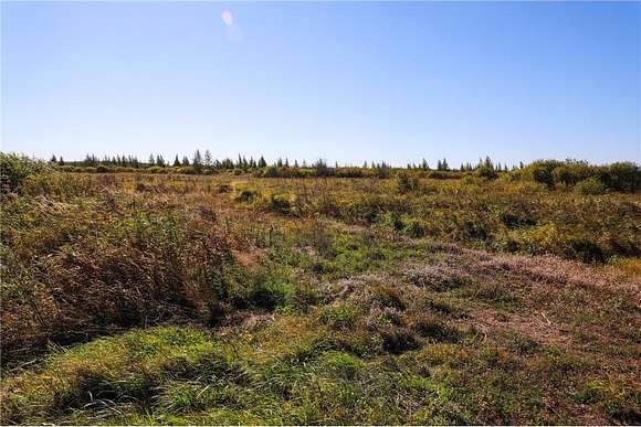 40 Acres of Recreational Land & Farm for Sale in Palisade, Minnesota