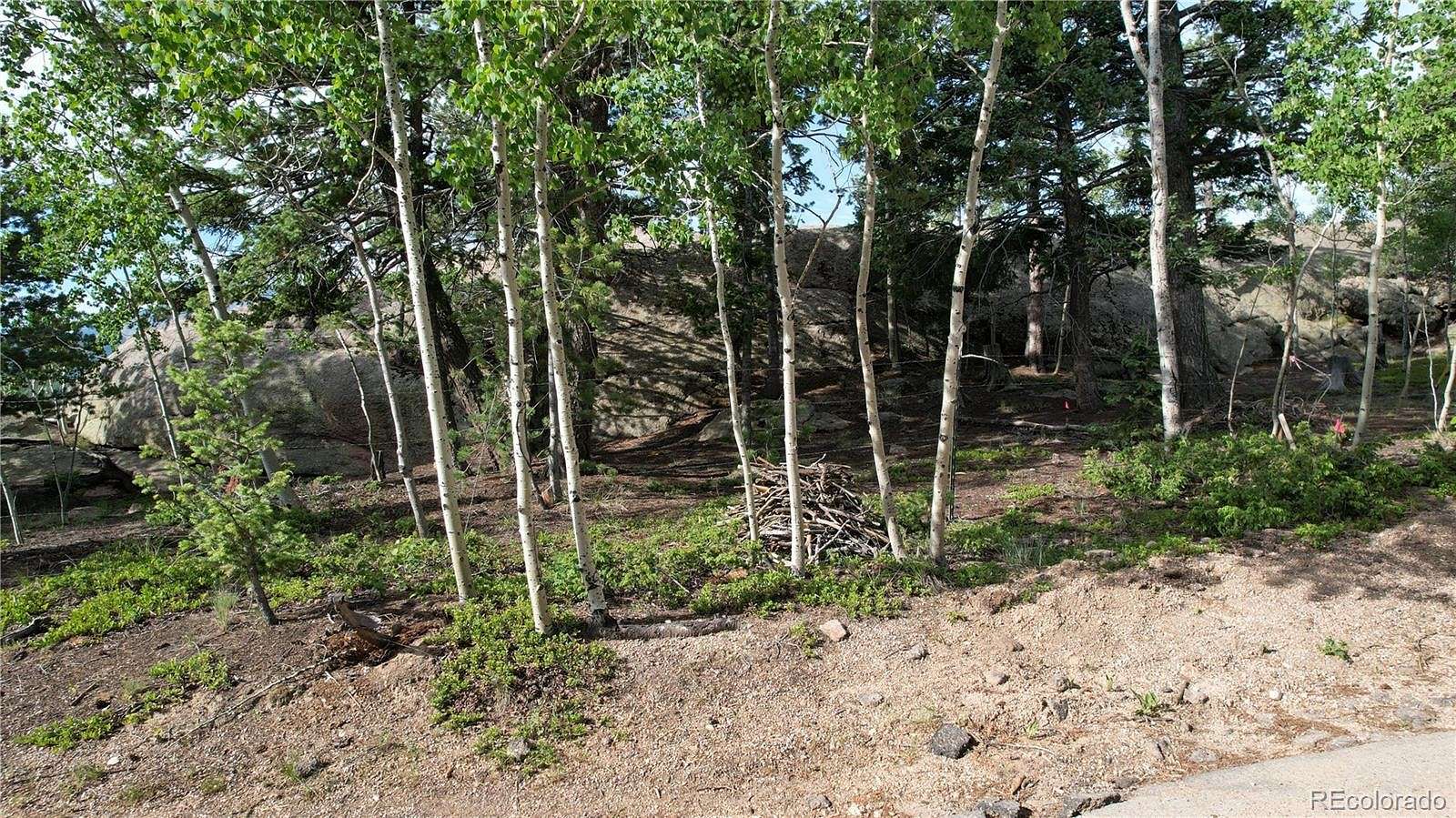 0.51 Acres of Residential Land for Sale in Woodland Park, Colorado