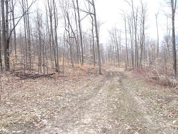 9.99 Acres of Land for Sale in Bear Lake, Michigan