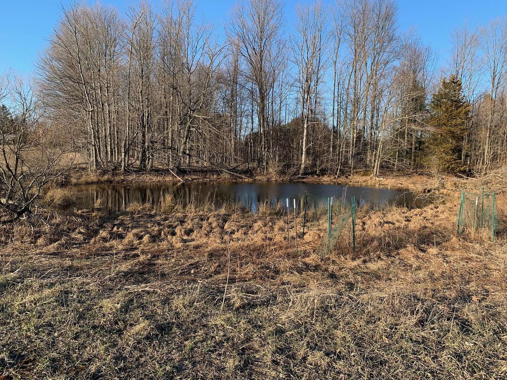 30.39 Acres of Recreational Land for Sale in Bear Lake, Michigan