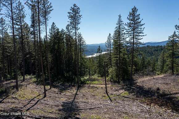 20 Acres of Recreational Land for Sale in Priest River, Idaho