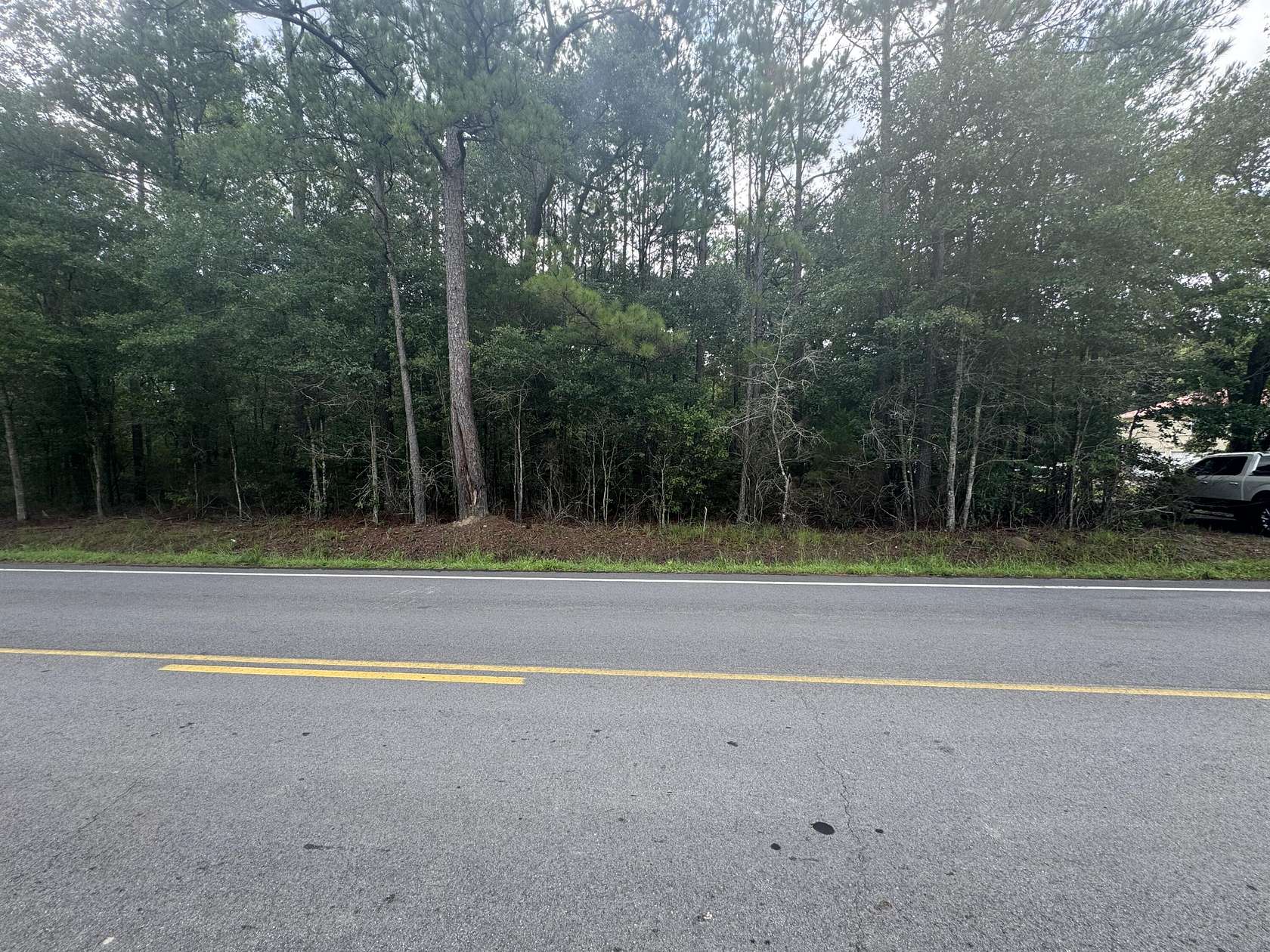 8.4 Acres of Residential Land for Sale in Ridgeville, South Carolina