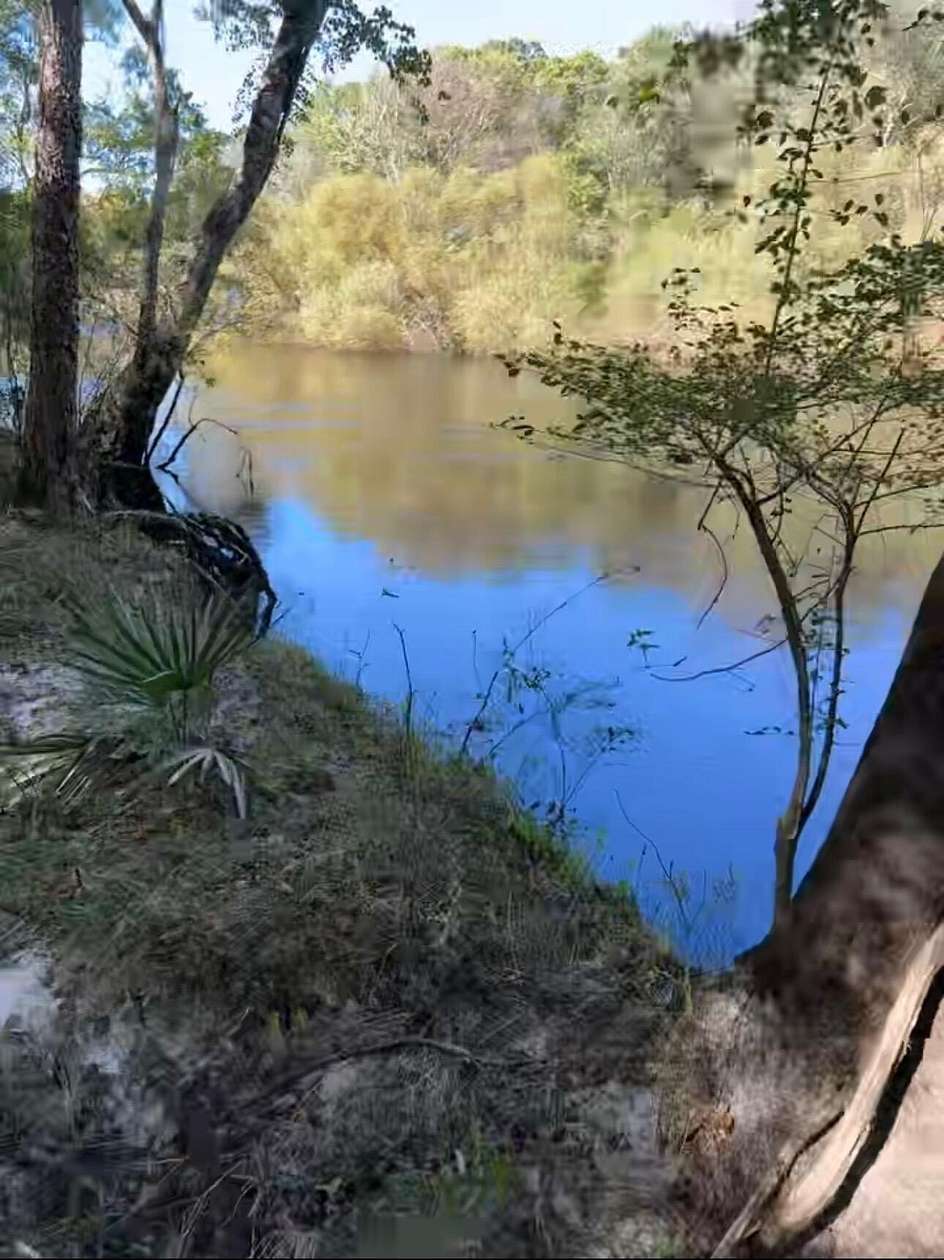 8.4 Acres of Residential Land for Sale in Ridgeville, South Carolina