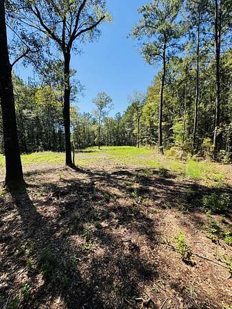 8.4 Acres of Residential Land for Sale in Ridgeville, South Carolina