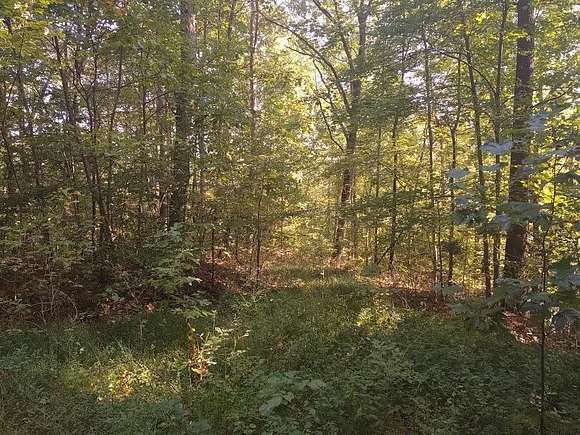 7.603 Acres of Residential Land for Sale in Morehead, Kentucky
