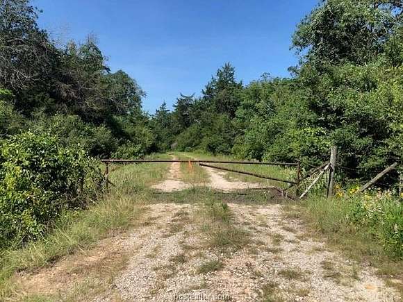 64.39 Acres of Land for Sale in Franklin, Texas