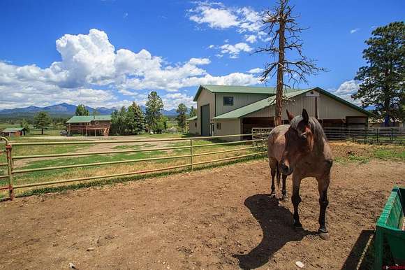 44 Acres of Recreational Land with Home for Sale in Pagosa Springs, Colorado