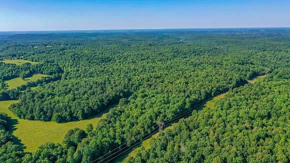 230 Acres of Recreational Land & Farm for Sale in Hopkinsville, Kentucky