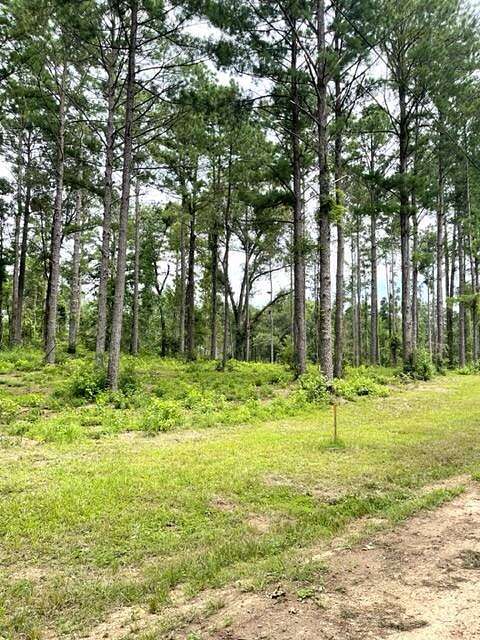 17.64 Acres of Land for Sale in Jena, Louisiana