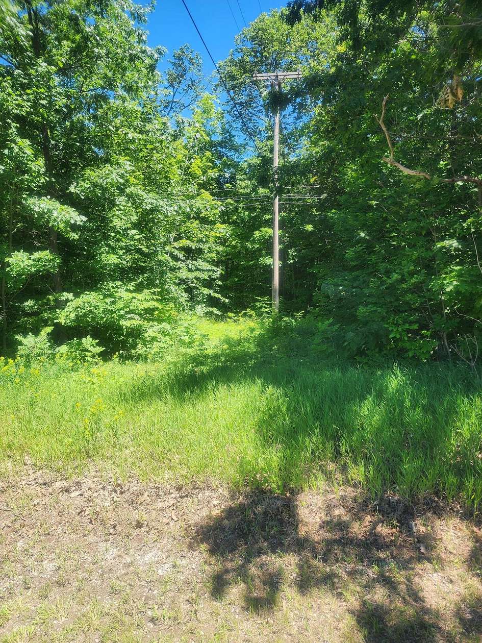 0.9 Acres of Land for Sale in Presque Isle, Michigan