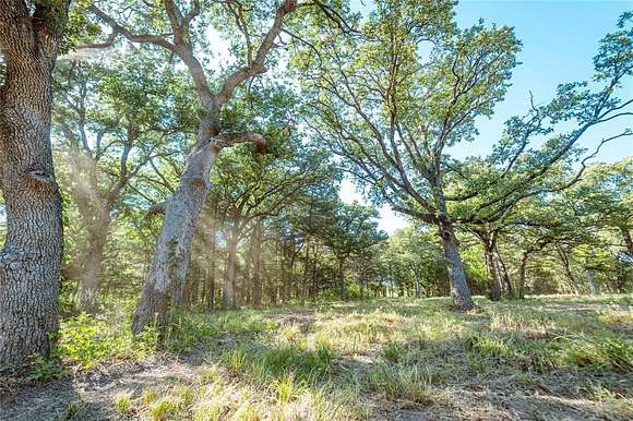 1 Acre of Residential Land for Sale in Gainesville, Texas