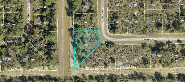 0.41 Acres of Residential Land for Sale in Lehigh Acres, Florida