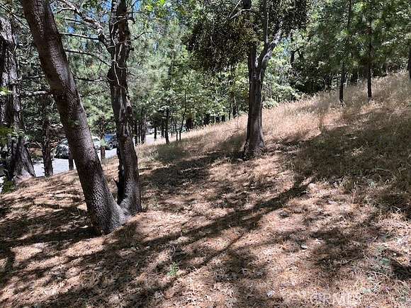 0.207 Acres of Residential Land for Sale in Running Springs, California