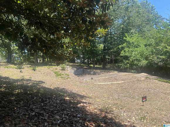 0.33 Acres of Residential Land for Sale in Birmingham, Alabama