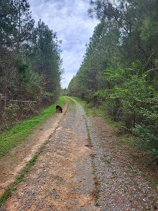 44.34 Acres of Land for Sale in Lufkin, Texas