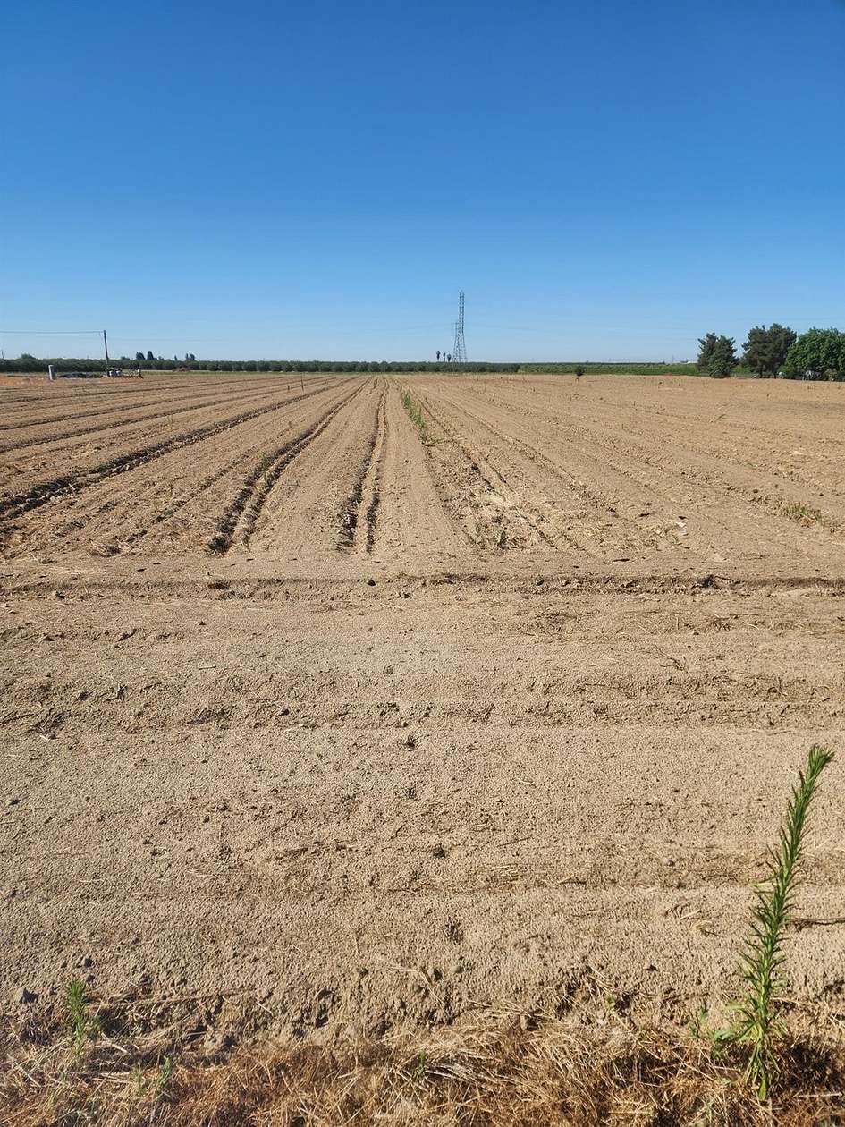 20 Acres of Agricultural Land for Sale in Fresno, California