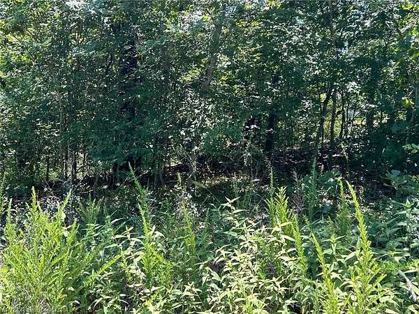 0.03 Acres of Residential Land for Sale in Tenkiller, Oklahoma