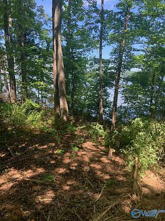 0.98 Acres of Residential Land for Sale in Cherokee, Alabama