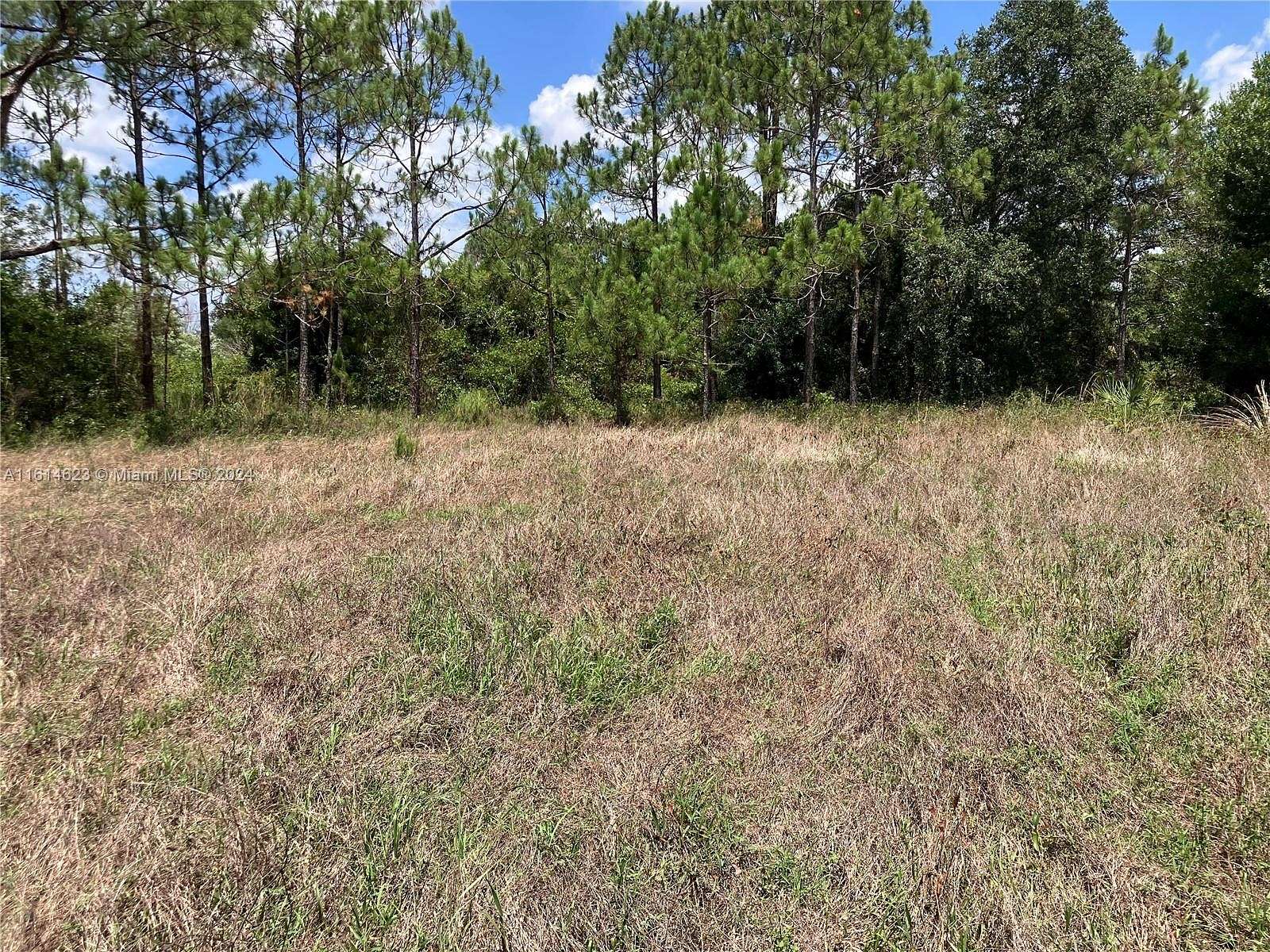 1.25 Acres of Residential Land for Sale in Clewiston, Florida