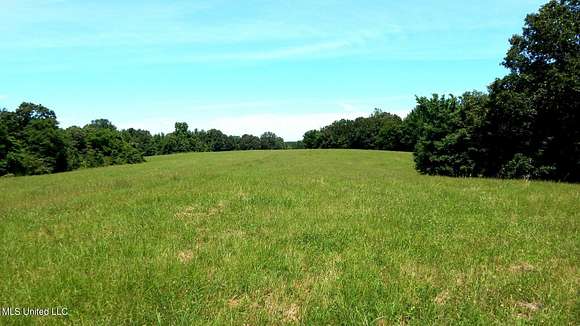 140.72 Acres of Land for Sale in Coldwater, Mississippi