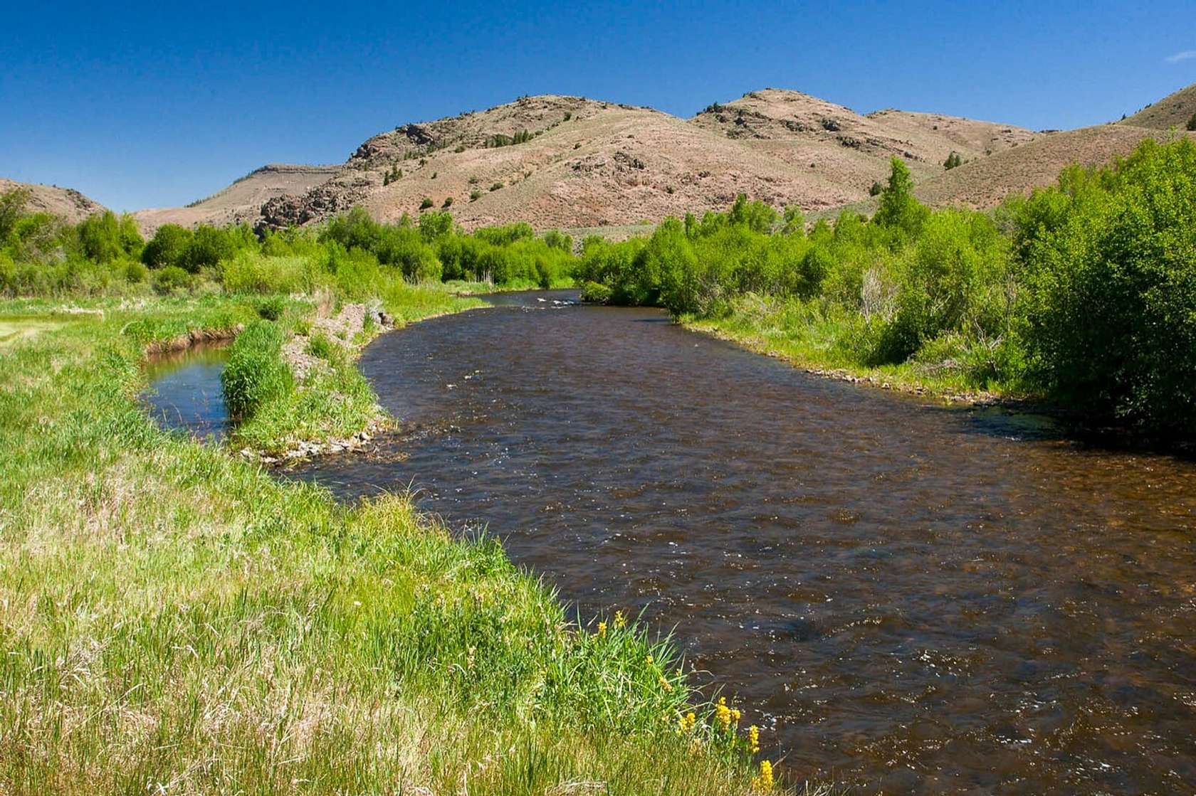 35 Acres of Recreational Land for Sale in Powderhorn, Colorado