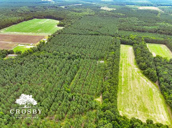 204 Acres of Recreational Land for Sale in Ruffin, South Carolina
