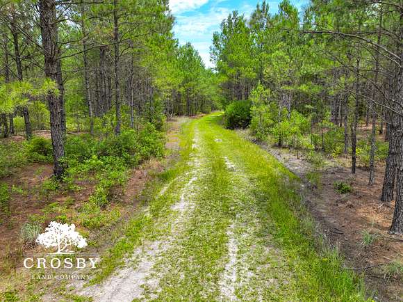 226 Acres of Recreational Land for Sale in Walterboro, South Carolina