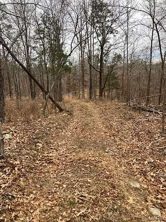 11 Acres of Recreational & Residential Land for Sale in Fredericktown, Missouri