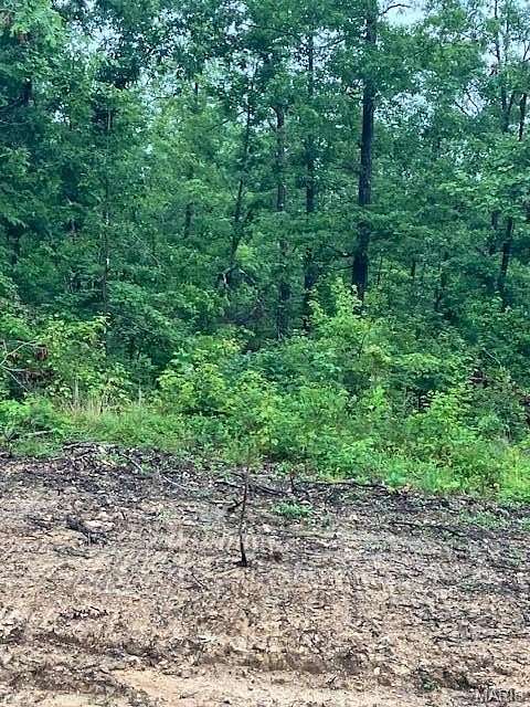6.23 Acres of Residential Land for Sale in Fredericktown, Missouri