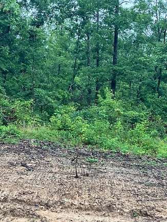 6.234 Acres of Land for Sale in Fredericktown, Missouri