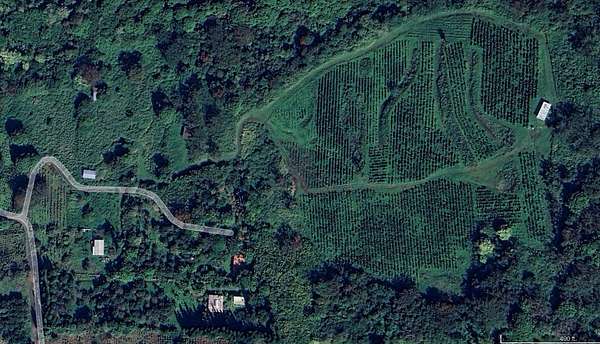 5 Acres of Land for Sale in Captain Cook, Hawaii