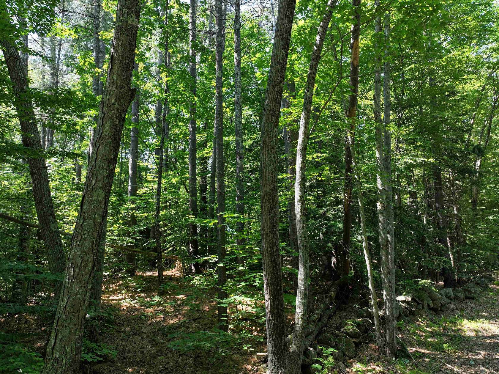 0.93 Acres of Residential Land for Sale in Bradford, New Hampshire