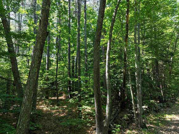 0.92 Acres of Residential Land for Sale in Bradford, New Hampshire