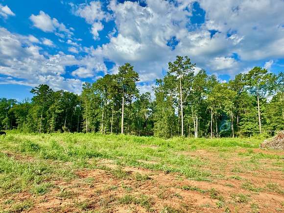 0.94 Acres of Residential Land for Sale in Hemphill, Texas