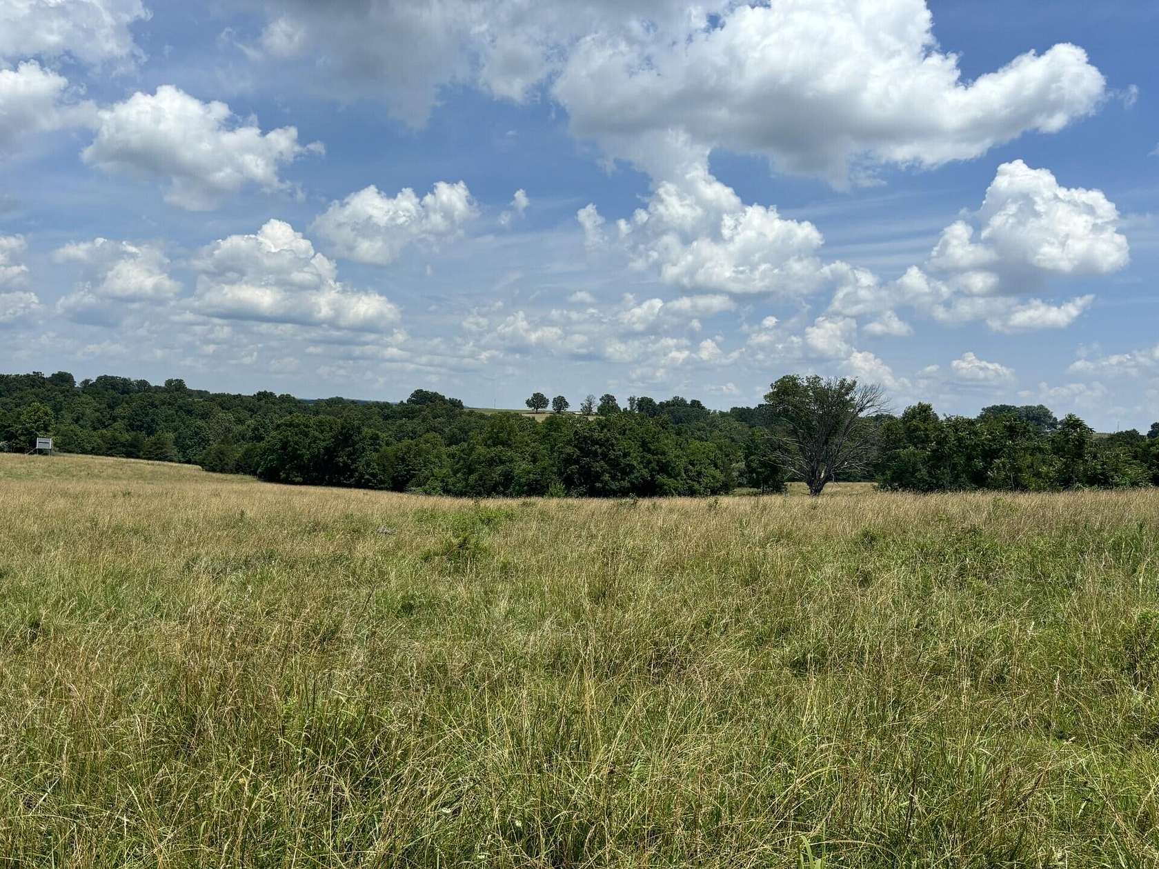 122 Acres of Agricultural Land for Sale in Ava, Missouri