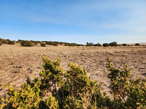 1.11 Acres of Residential Land for Sale in Concho, Arizona