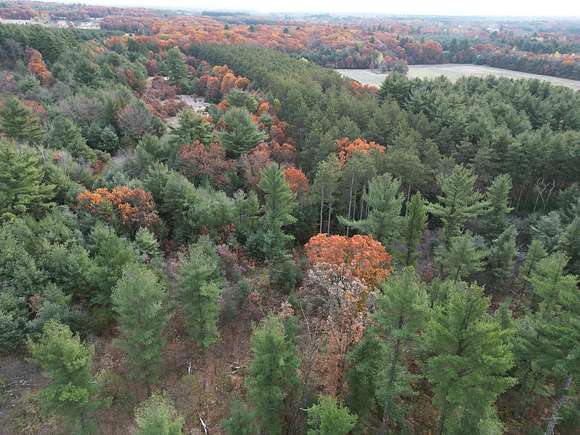 24 Acres of Land for Sale in Redgranite, Wisconsin