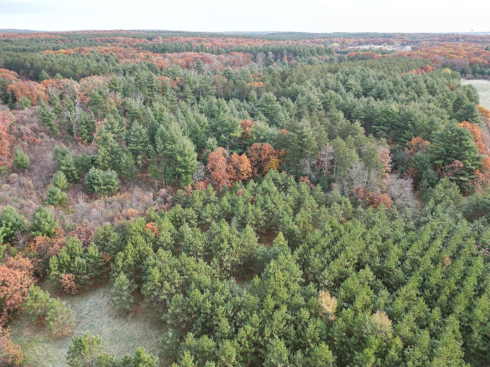 54 Acres of Land for Sale in Redgranite, Wisconsin