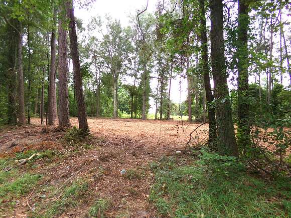 0.97 Acres of Residential Land for Sale in Swainsboro, Georgia