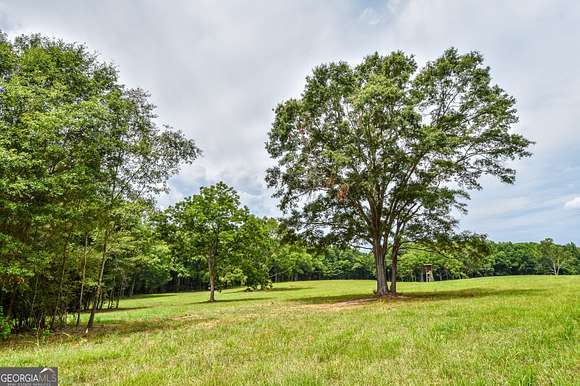 20.86 Acres of Agricultural Land for Sale in Molena, Georgia
