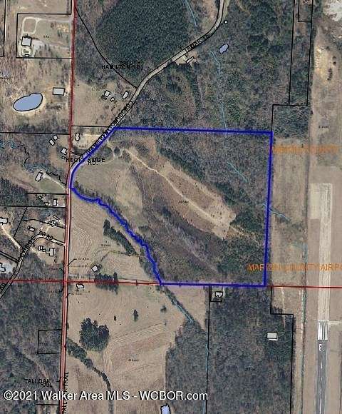 44 Acres of Land for Sale in Hamilton, Alabama