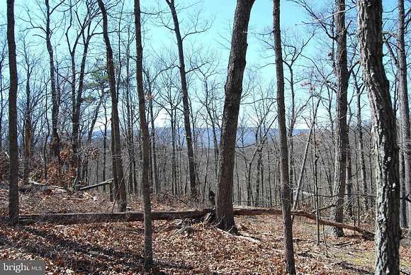 20.09 Acres of Recreational Land with Home for Sale in Winchester, Virginia
