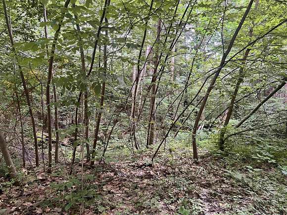 25 Acres of Recreational Land for Sale in Westmoreland, New Hampshire