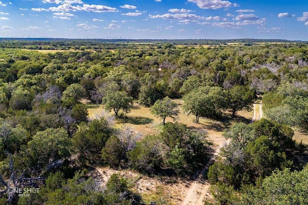 63.05 Acres of Recreational Land for Sale in Tuscola, Texas