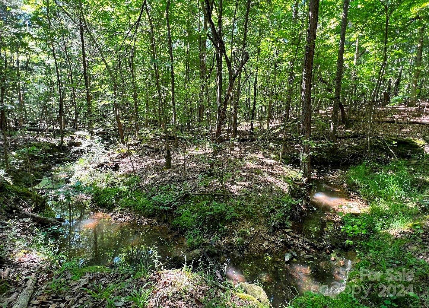 14.65 Acres of Land for Sale in Waxhaw, North Carolina