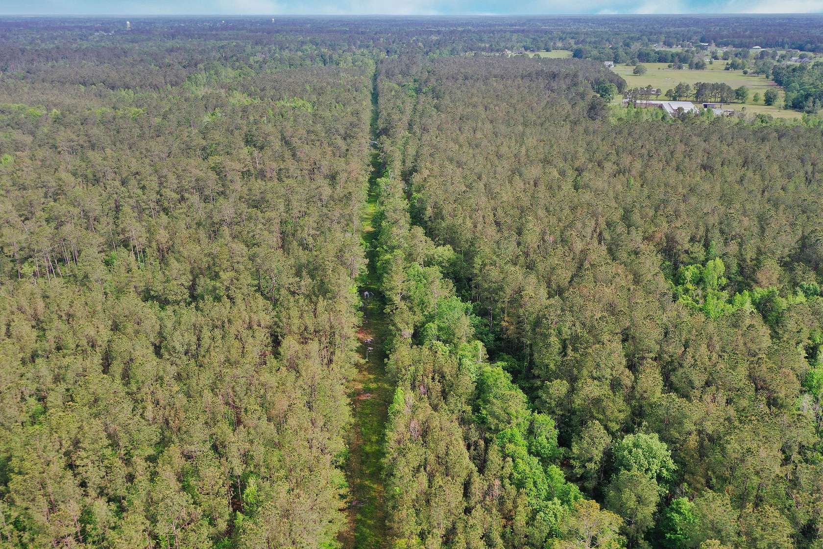 242 Acres of Recreational Land & Farm for Sale in Tickfaw, Louisiana