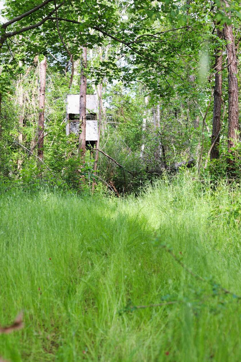 242 Acres of Recreational Land for Sale in Tickfaw, Louisiana