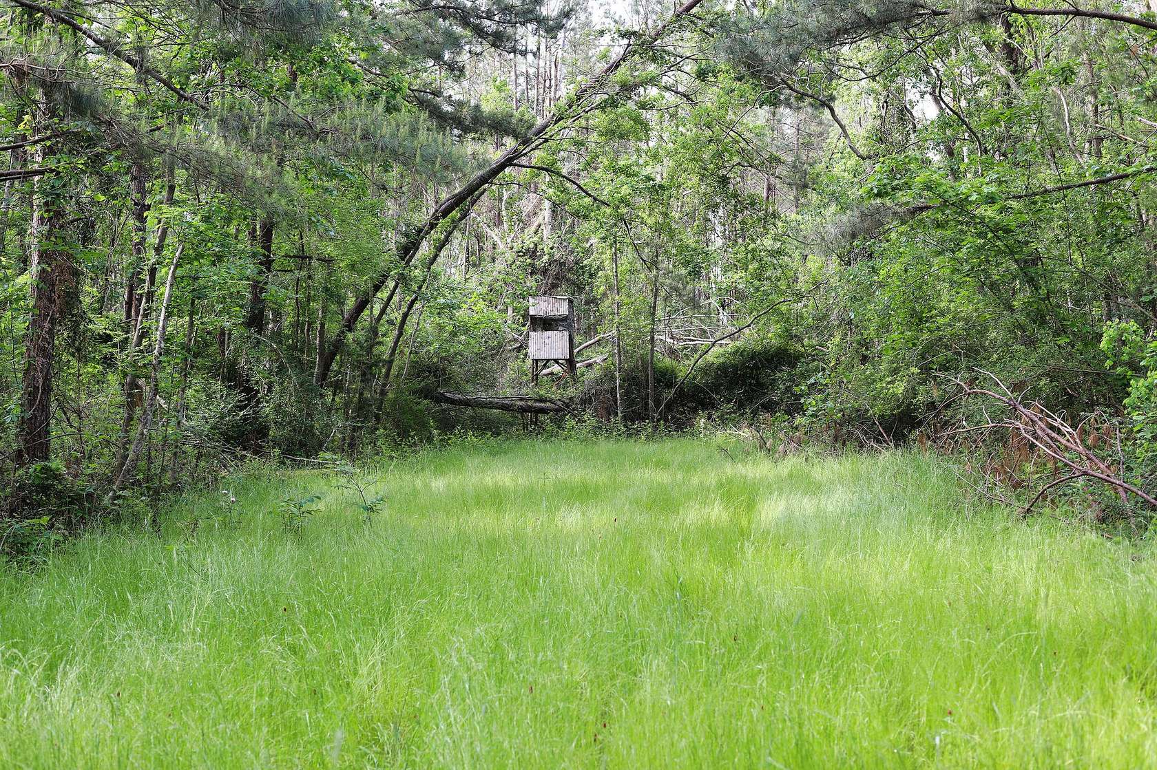 242 Acres of Recreational Land for Sale in Tickfaw, Louisiana
