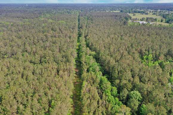 242 Acres of Recreational Land & Farm for Sale in Tickfaw, Louisiana