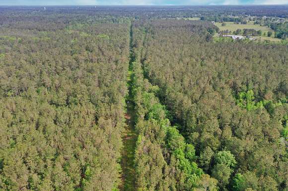 242 Acres of Recreational Land for Sale in Tickfaw, Louisiana